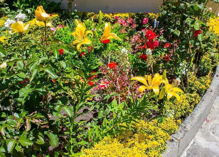 エストリル ポルト